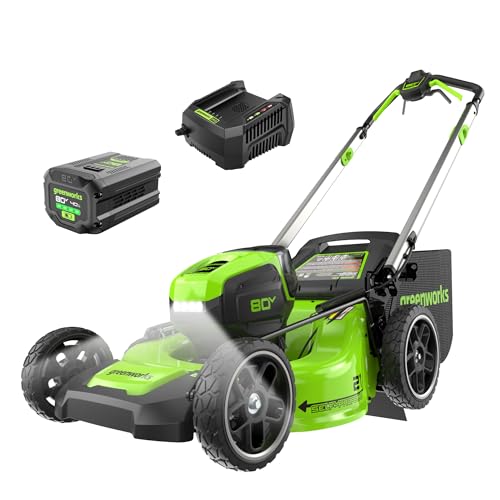 best self propelled lawn mower electric